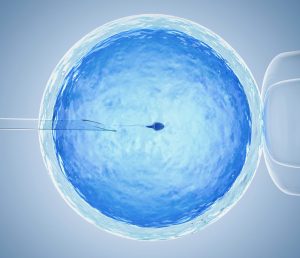 ivf-is-an-infertility-treatment-if-you-regret-vasectomy