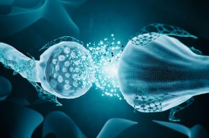 chronic-scrotal-pain-after-vasectomy-is-caused-by-hypersensitive-nerves
